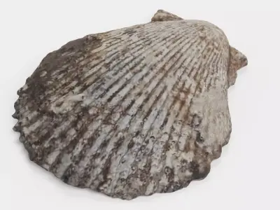 -Shell Dark- 3D model