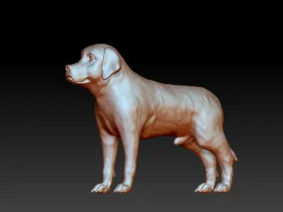 CUTE DOG 3D Printed Model Free 3D print model