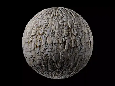 Bark 3 acorn Texture