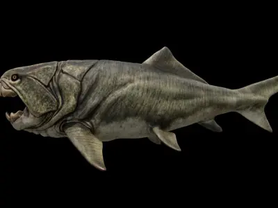 Dunkleosteus Prehistoric Fish Low-poly 3D model