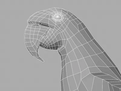 Parrot Macaw 3D model