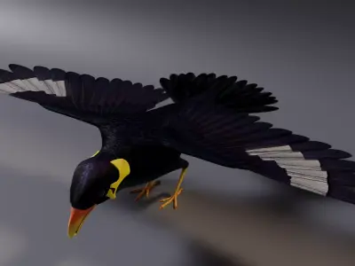 Black Bird Low-poly 3D model