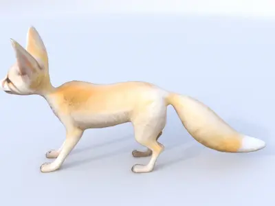 Fennec Fox 3D model