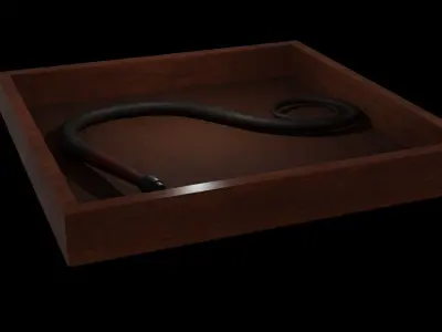 Leather Whip Low-poly 3D model