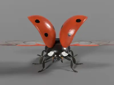 Ladybug Animated 3D model