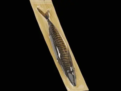 Mackerel Smoked 3D model