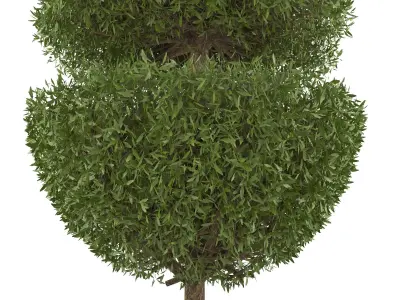 Outdoor bush Free 3D model