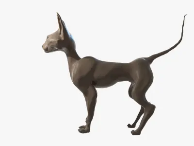 Cat high-poly blender Free 3D model