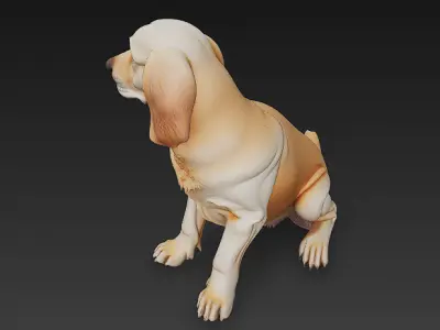Golden Retriever Dog Realistic 3D Model - Low Poly Realistic Low-poly 3D model