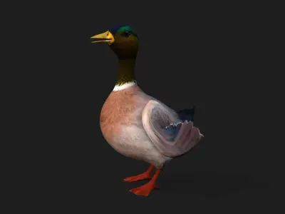 Duck A3 3D model