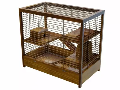 Hamster cage 3D model