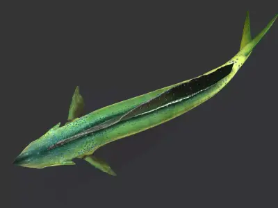 Realistic Mahi Mahi Animated 3D model