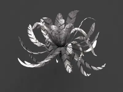 Feather Stars Low-poly 3D model