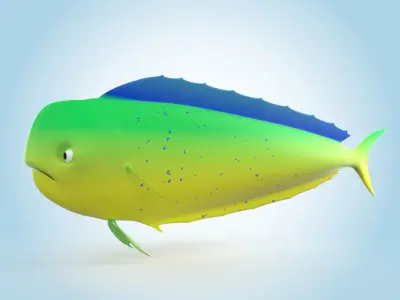 Mahi-mahi 3D model