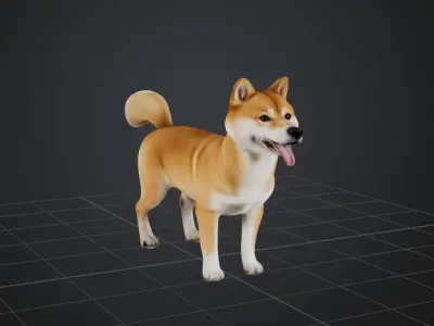 Dog Model - Shiba 3D model