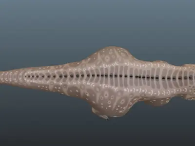 Giganotosaurus Low-poly 3D model