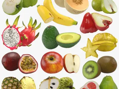 Fruit and Half Collection 2 3D model