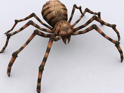 3DRT - Spiders Low-poly 3D model