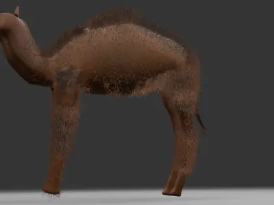 3dcamel not animated 3D model