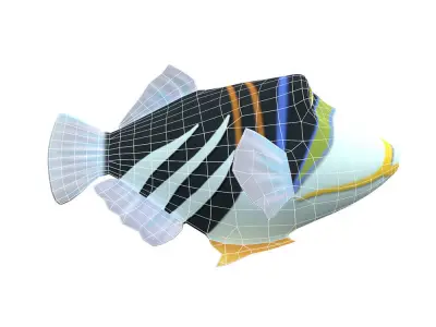 Picasso Trigger Fish Cartoon Animated Low-poly 3D model