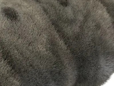 Silkworm With Cocoon 3D model