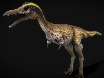 Mononykus Low-poly 3D model