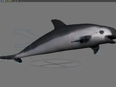 dolphin animal porpoise cetaceans whale marine dauphin 3D model