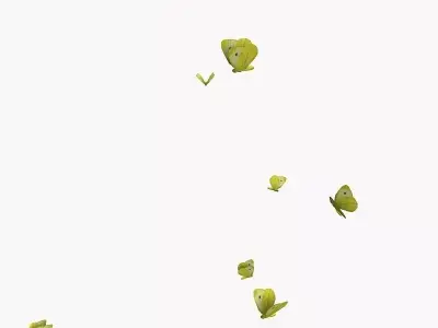 Flock of Butterflies 3D model