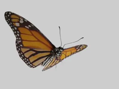 Butterfly Monarch Game Ready Low-poly 3D model