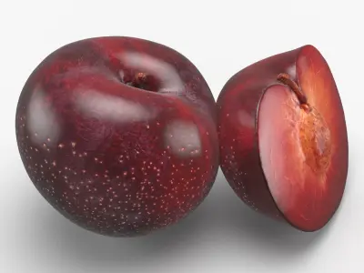 Plum 02 3D model
