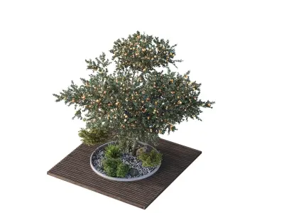 HQ Tree and bush garden box outdoor VOL 01 Free 3D model
