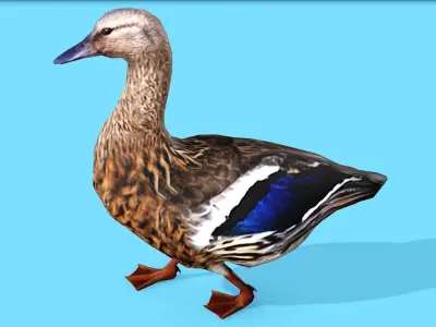 BROWN DUCK RIGGED ANIMAED 3 Low-poly 3D model
