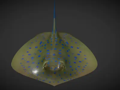 Ray fish Low-poly 3D model