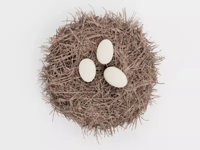 -Stork Nest with Eggs- 3D model