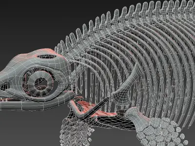 ichthyosaurus skeleton  3D model