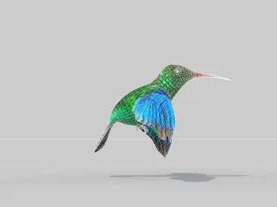 Humming Bird Two 3D model