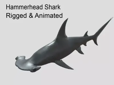 Hammerhead Shark Animated Low-poly Low-poly 3D model