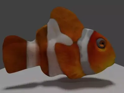 Clownfish clown fish Low-poly 3D model
