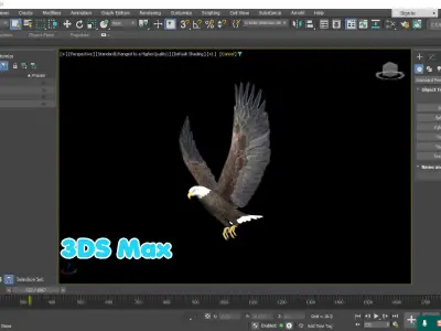 Realistic Animated Bald Eagle Low-poly 3D model