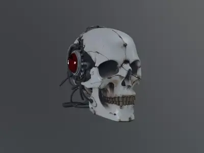 cyborg skull 3D model