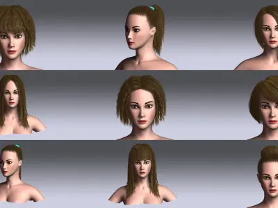 Polygon Hair Collection 4 3D model