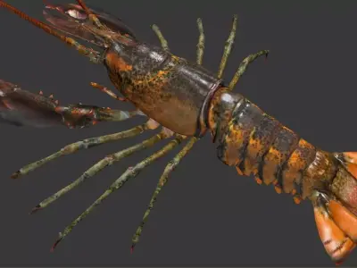 Homarus americanus   lobster Low-poly 3D model