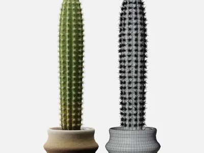 Realistic Cactus with pot ground and little stones included Free 3D model