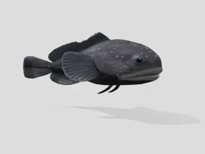 Blobfish Realistic Animated Low-poly 3D model