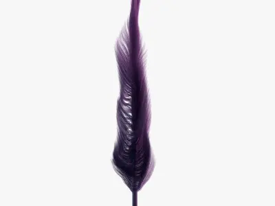 Feather 3D model