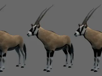 African Oryx Low-poly 3D model