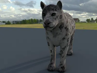 Tiger lion Grey model High Detailed 3D model Free low-poly 3D model