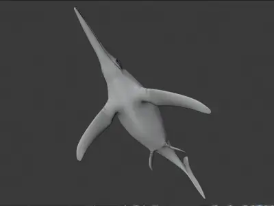 Dolphin ictiosaurio rig Low-poly 3D model