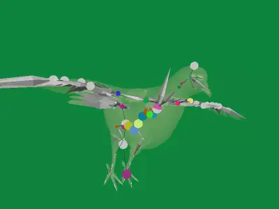 White Winged Dove Bird Free 3D model
