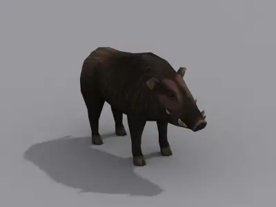 a boar wild Free 3D model